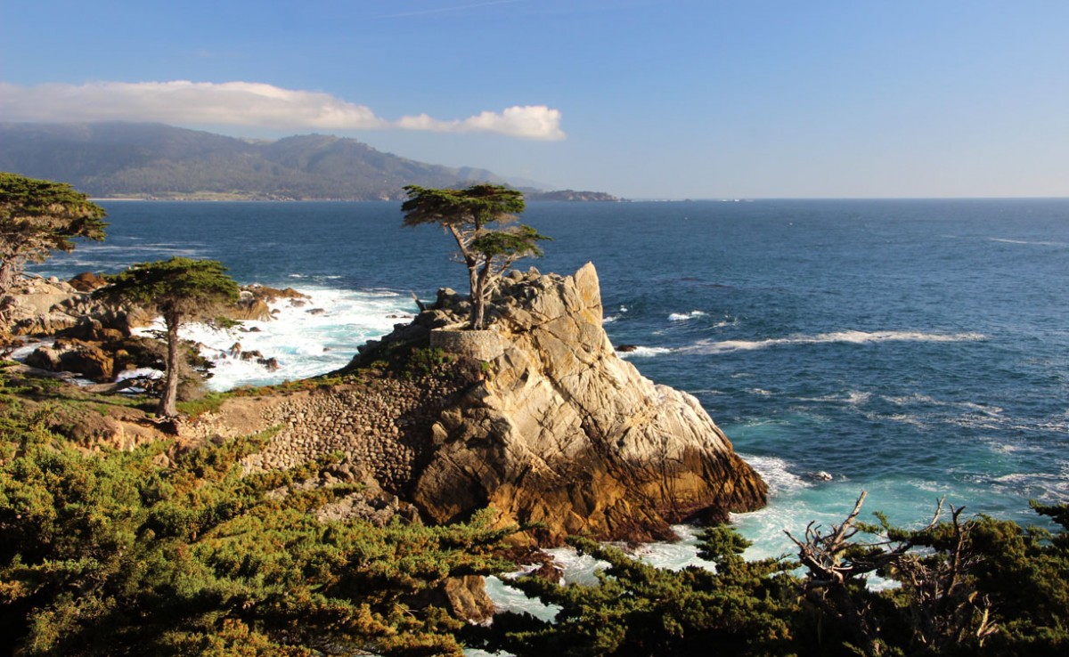 Zdjęcia: Monterey, Kalifornia, Cyprys na wiszącej skale , USA Zdjęcia: Monterey, Kalifornia, Cyprys na wiszącej skale , USA