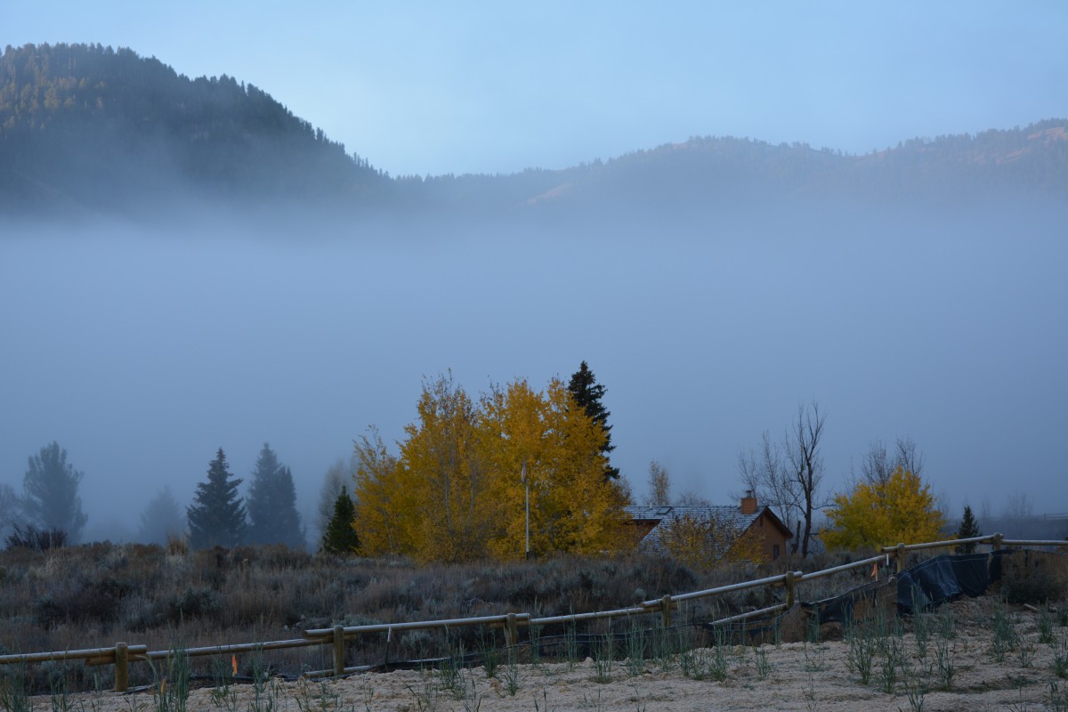Zdjęcia: PN Grand Teton, Wyoming, jesiennie..., USA Zdjęcia: PN Grand Teton, Wyoming, jesiennie..., USA