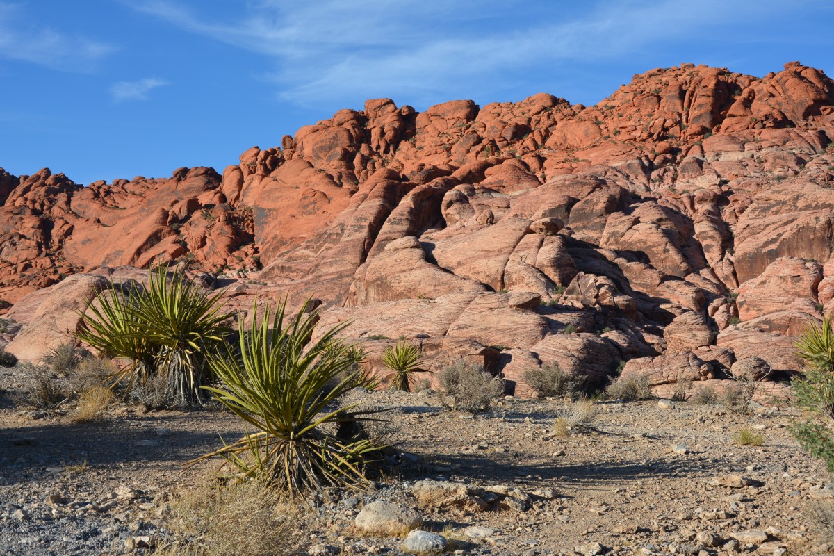Zdjęcia: niedaleko Las Vegas, Nevada, Red Rock Canyon, USA Zdjęcia: niedaleko Las Vegas, Nevada, Red Rock Canyon, USA
