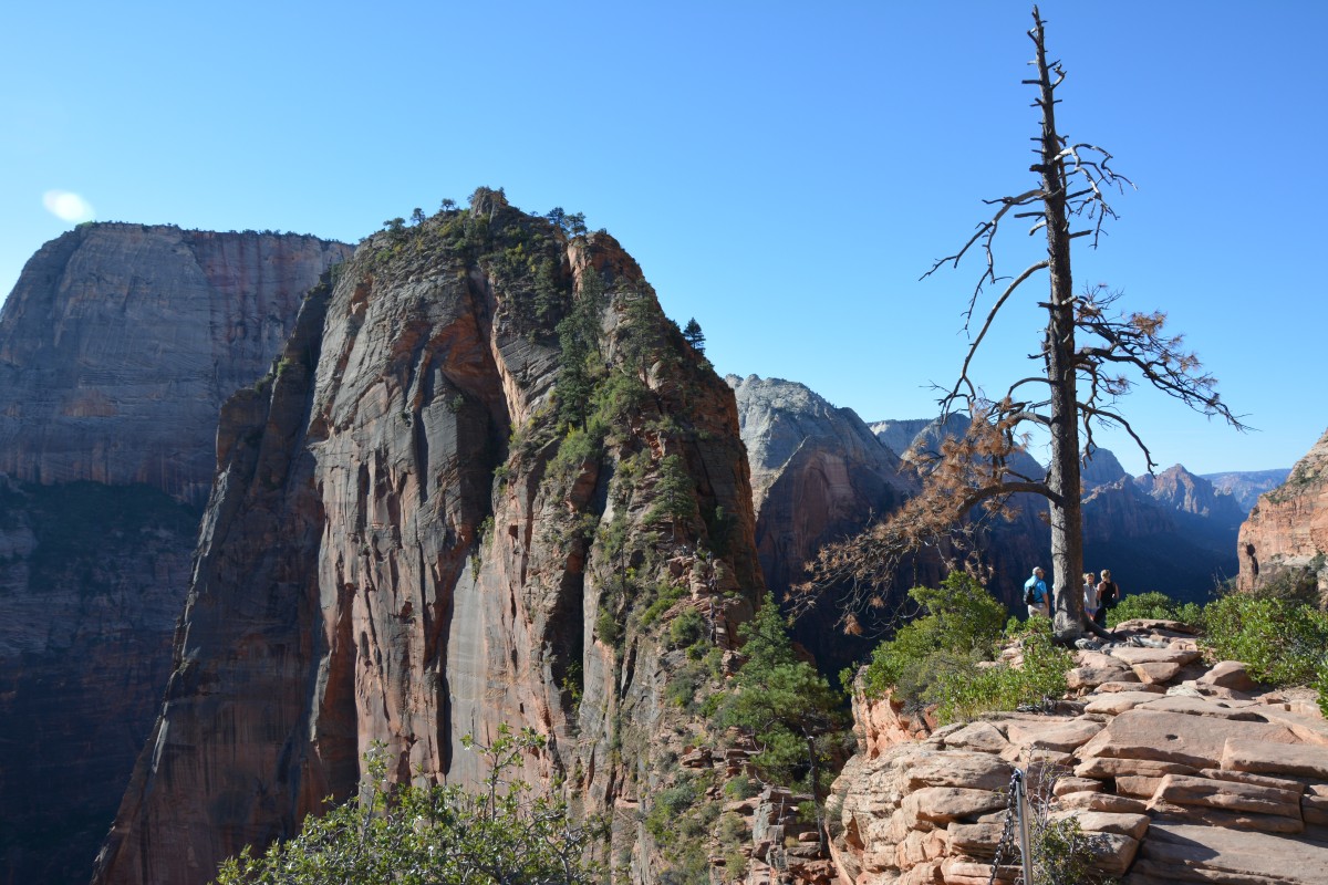 Zdjęcia: Zion National Park, Utah, Angel's Landing, USA Zdjęcia: Zion National Park, Utah, Angel's Landing, USA