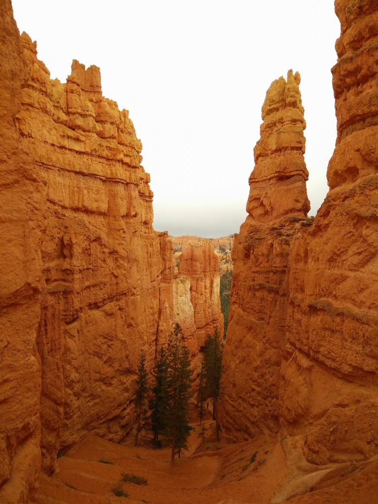 Zdjęcia: Bryce Canyon, Utah, ODKRYCIA, USA Zdjęcia: Bryce Canyon, Utah, ODKRYCIA, USA