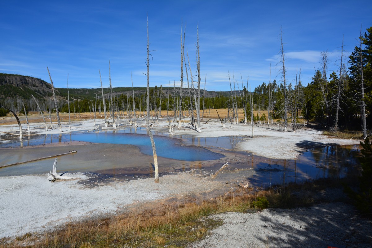 Zdjęcia: Black Sand Basin, Wyoming - Yellowstone NP, Opalescent pool, USA Zdjęcia: Black Sand Basin, Wyoming - Yellowstone NP, Opalescent pool, USA