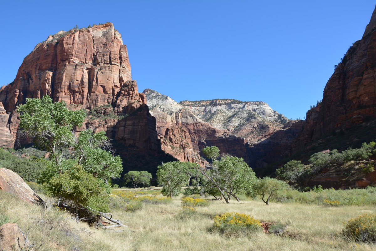 Zdjęcia: Park Narodowy Zion, Utah, Zion, USA Zdjęcia: Park Narodowy Zion, Utah, Zion, USA