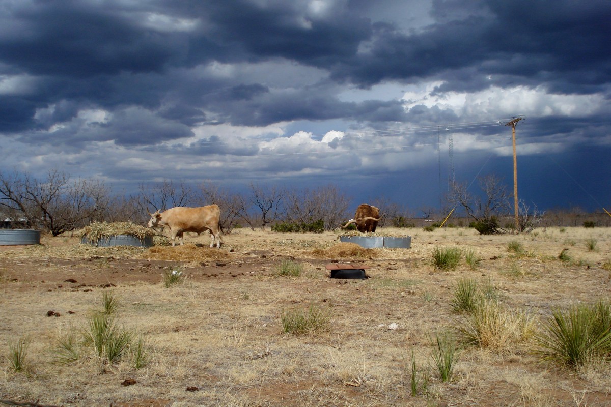 Zdjęcia: KANION PALO DURO, TEKSAS, PRZED BURZĄ, USA Zdjęcia: KANION PALO DURO, TEKSAS, PRZED BURZĄ, USA