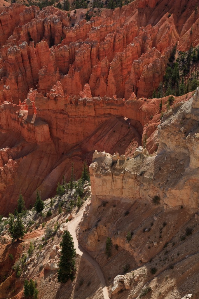 Zdjęcia: Bryce Canyon, Utah, Bryce Canyon, USA Zdjęcia: Bryce Canyon, Utah, Bryce Canyon, USA