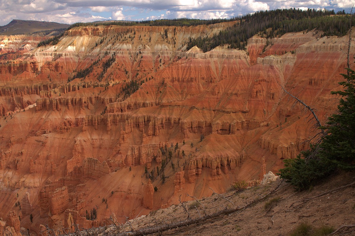 Zdjęcia: Cedar Breaks National Monument, Utah, Malutki kanion, USA Zdjęcia: Cedar Breaks National Monument, Utah, Malutki kanion, USA