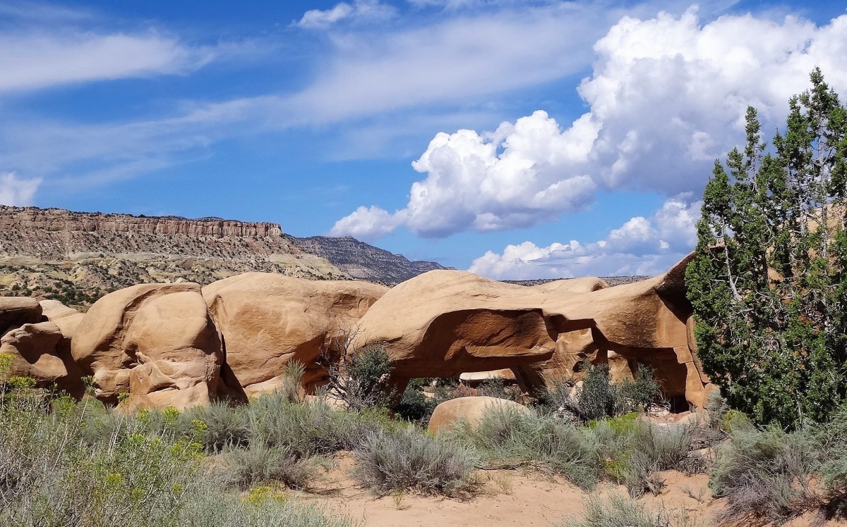 Zdjęcia: Escalante - Devils Garden, Utah, Diabelski, ale cudny ogród, USA Zdjęcia: Escalante - Devils Garden, Utah, Diabelski, ale cudny ogród, USA