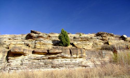 Zdjęcie USA / - / Oklahoma / Black Mesa State Park / samotna