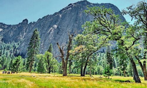 Zdjęcie USA / California / Yosemite National Park / Polana w Yosemite