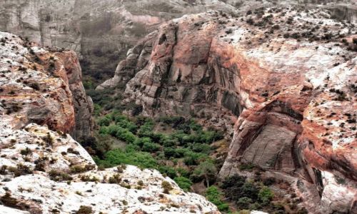 Zdjęcie USA / Utah / Cedar creek / Cedar Creek - oaza pośród skał