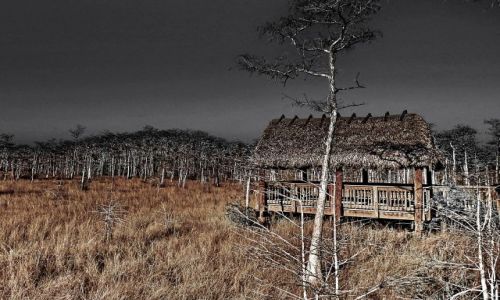 Zdjecie USA / Floryda / Everglades National Park / Everglades wieczorn por