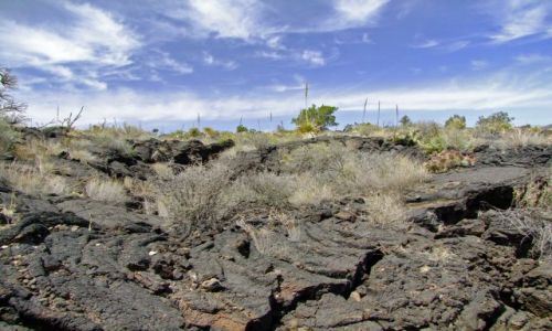 Zdjecie USA / - / New Mexico / Valley of Fires / Dolina Ogni 4