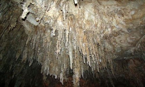 Zdjęcie USA / - / New Mexico / Carlsbad Caverns NP / Jaskinie Carlsbad 3