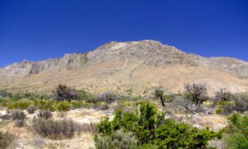Zdjęcie USA / - / Texas / Guadalupe Mountains / Guadalupe Mountains