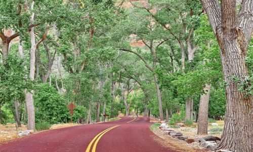Zdjecie USA / Utah / Zion NP / Droga przez Zion