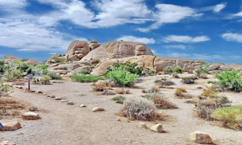 Zdjecie USA / California / Joshua Tree NP / Skay w Joshua tree national park