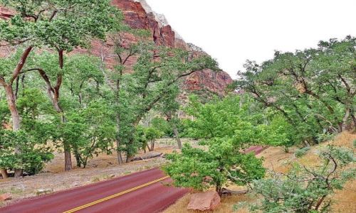 Zdjęcie USA / Utah / Zion NP / Jedyna droga wgłąb ZION