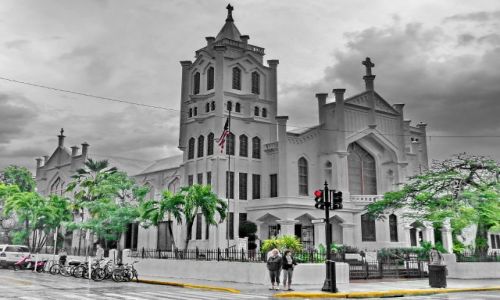 Zdjecie USA / Floryda / Key West / Kociek gwny i palmy w Key West 
