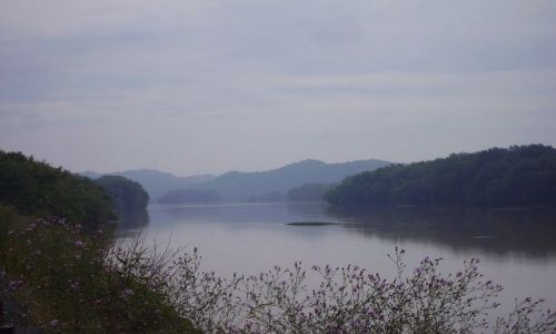 Zdjęcie USA / Pensylwania / nad rzeką Delaware / rozlewiska rzeki Delaware