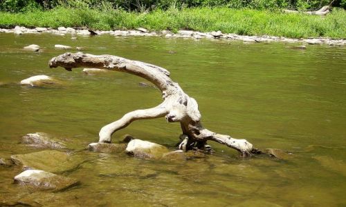 Zdjęcie USA / stan Nowy York / Ithaca - Finger Lakes /