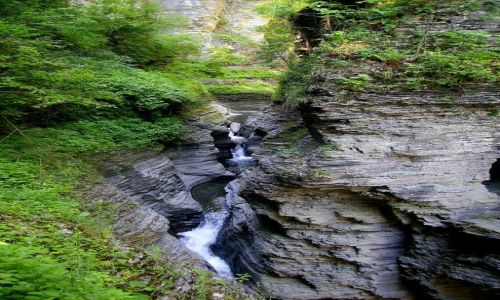 Zdjecie USA / stan Nowy York / Watkins Glen State Park- Finger Lakes / jeden z wielu w tym parku