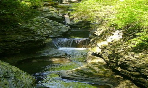 Zdjecie USA / stan Nowy York / Watkins Glen State Park - Finger Lakes / fragment trasy w Watkins Glen State Park