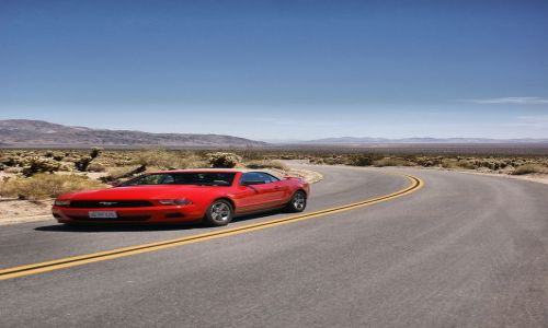 Zdjecie USA / Kalifornia / Yoshua tree NP / Mustang na prerii
