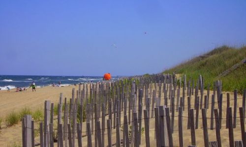 Zdjcie USA / North Carolina / Outer Banks / ochrona wydm na play w Kill Devils Hill
