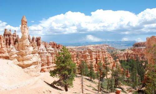 Zdjecie USA / Utah / Bryce Canyon / Canyon