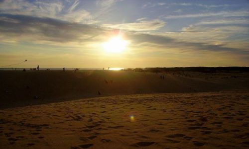 Zdjcie USA / North Carolina / Outer Banks - Kill Devils Hill / w Parku  Jockey's Ridge