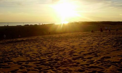 Zdjcie USA / North Carolina / Outer Banks - Park Stanowy Jockey\\\'s Ridge / magiczne wiato zachodzcego soca