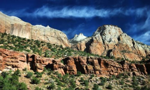 Zdjęcie USA / Utah / Zion NP / Zion NP