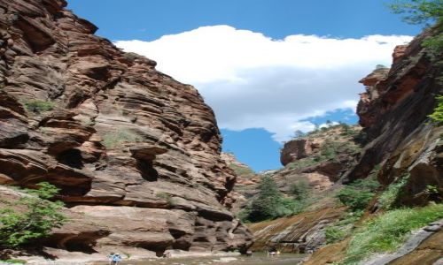 Zdjęcie USA / Utah / Zion NP / Narrows hike