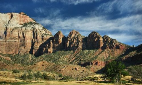 Zdjecie USA / Utah / Zion NP / Zion NP