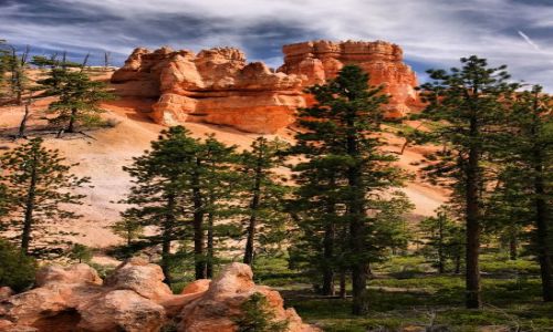 Zdjecie USA / Utah / Bryce Canyon / Bryce Canyon