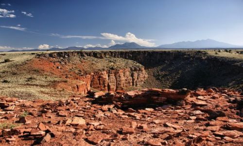 Zdjecie USA / Arizona / Wupatki NM / Preria Arizony
