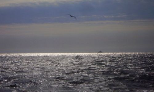 Zdjęcie USA / North Carolina / Outer Banks -  / w drodze na Emerald Island