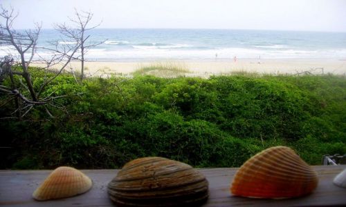 Zdjęcie USA / North Carolina / Outer Banks- Emerald Island / pamiątka z wakacji