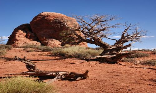 Zdjęcie USA / Utah / Arches NP / Arches NP
