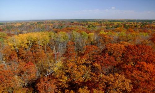 Zdjęcie USA / - / minnesota / Indian Summer czyli Zlota Polska Jesien w Minnesocie :)