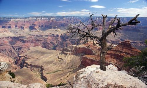 Zdjecie USA / Arizona / Grand Canyon NP / Grand Canyon