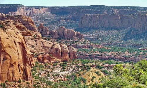 Zdjecie USA / Arizona / Navajo NP / Ujcie jednego z wwozw Nawajo
