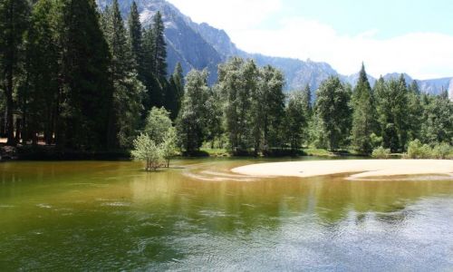Zdjecie USA / California / Yosemite / Tranquility in the Valley