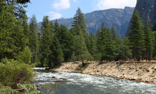 Zdjecie USA / California / Yosemite / River through the valley