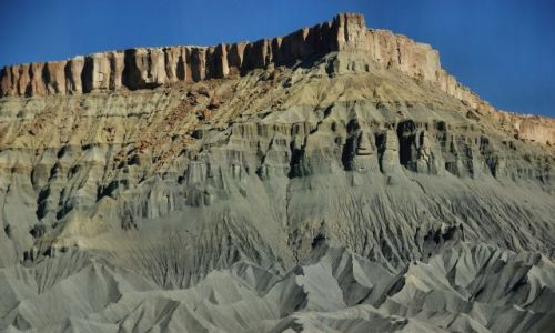 Zdjecie USA / Utah / Utah / Fikuna grka