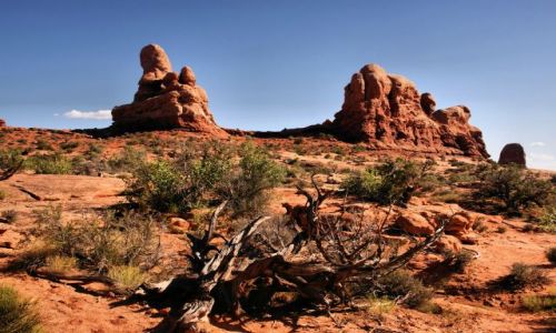 Zdjecie USA / Utah / Arches NP / Arches NP