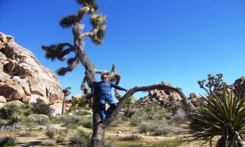 Zdjecie USA / California / Joshua Tree / Wyprawa motocyklowa po USA