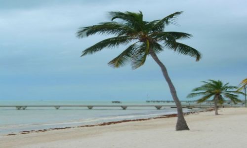 Zdjęcie USA / Floryda / Key West / Samotna