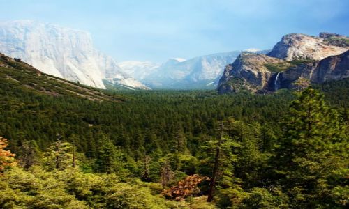 Zdjęcie USA / Kalifornia / Yosemite NP / Prawie jak w raju