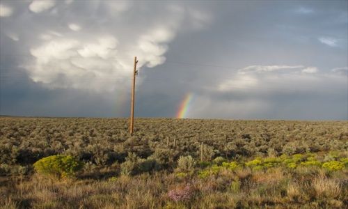 Zdjecie USA / New Mexico / US Highway 550 / po burzy na pustyni